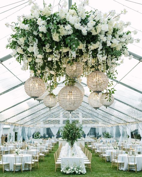 A tented reception space we’ll never be over! ✨ Planning: @brittanieraquelevents Venue: @thefarmatunion Photography: @meganmoralesphoto Videography: @freehand_films Florals: @designsbydillonn Tent Rental: @partyreflections Rentals: @marthamydearrentals + @whitebirchrentals + @partysuppliersandrentals + @dpetc + @greatdaysoiree Linens: @bbjlatavola Lighting: @highperformancelightingnc Entertainment: @arborstrings + @thesoulpsy Catering: @sherylscatering Wedding Cake: @onebellebakery Transpor... Clear Tent Wedding Chandeliers, Chandelier Tent Wedding, Event Buffet, Wedding Chandeliers, Reception Ceiling, Tent Weddings, Live Painter, Patio Tents, Draping Wedding