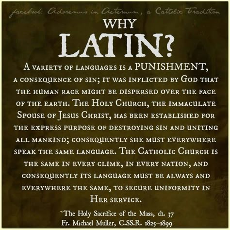 Latin Mass Traditional, Catholic Latin Phrases, Latin Prayers, Catholic Symbols, Read It And Weep, Traditional Catholicism, Catholic Beliefs, Latin Quotes, Catholic Pictures