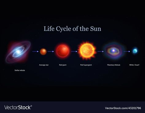 Planetary Nebula, Sun Life, Red Giant, Life Cycle, Life Cycles, Vector Art, The Sun, Vector Images, Vector Free