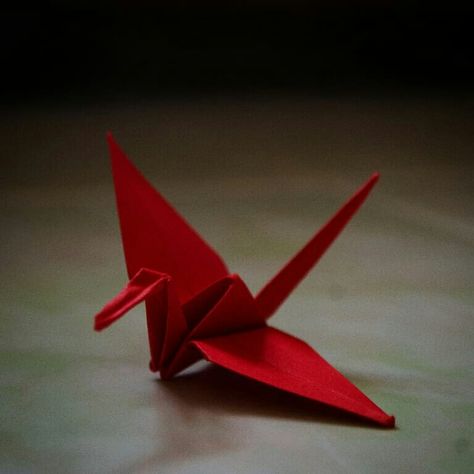 Red Paper Crane Paper Cranes Aesthetic, Paper Crane Aesthetic, Paper Cranes, Atonement, Red Paper, Paper Crane, Book Binding, New Things To Learn, Mood Board