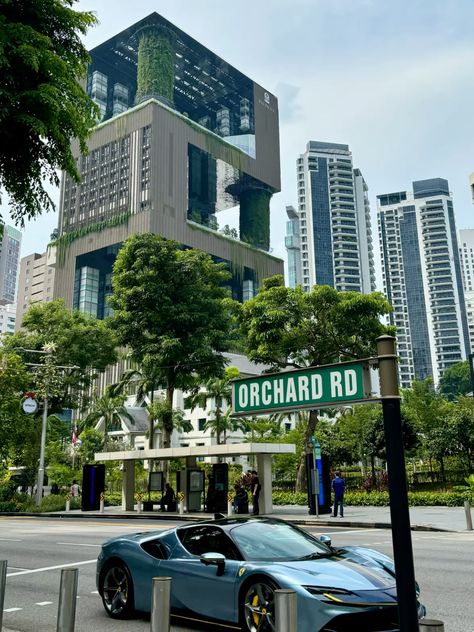 Orchard road, Singapore Singapore Orchard Road, Orchard Road Singapore, Singapore City, Forest Landscape, Singapore, Forest, Road, Quick Saves