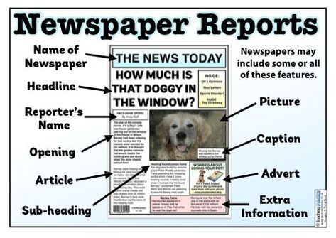 News Report Example, Newspaper Report Writing Examples, Newspaper Article Examples, Newspaper School Project, Newspaper Activities For Kids, News Report Template, English Newspaper Articles, Class Newspaper, Newspaper Article Template