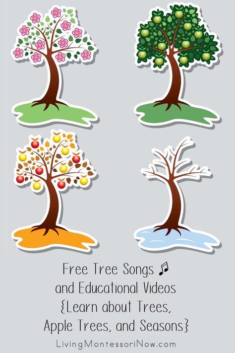 Free tree songs, rhymes, and educational videos for a variety of ages; perfect for homeschool or classroom for a tree theme, apple tree theme, or seasons theme - Living Montessori Now #freesongs #circletime #educationalvideos #freetreesongs #freeapplesongs #appletheme #seasons Tree Songs For Preschool, Apple Tree Song, Tree Unit, Apple Unit Study, Apple Song, Kindergarten Poems, Montessori Activities Preschool, About Trees, Calendar Activities