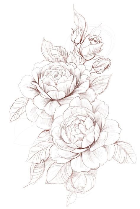 Super Drawing, Peony Flower Tattoos, Peony Drawing, Peony Design, Flower Tattoo Drawings, Hawaiian Tattoo, Floral Tattoo Sleeve, Drawing Tattoo, Peonies Tattoo