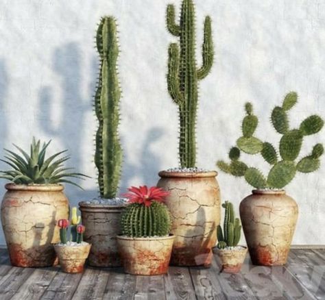 Cactus Garden Design, Mexican Resort, Resort Decor, Kaktus Dan Sukulen, Mexican Garden, Potted Cactus, Plant Pot Design, Pear Cactus, Desert Garden