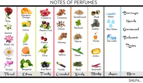 The Perfect Guide to Perfume Notes and How to Choose 'em! Perfume Versace, Perfume Notes, Homemade Perfume, Perfume Recipes, Hermes Perfume, Perfume Photography, Oil Perfume, Perfume Reviews, Perfume Store