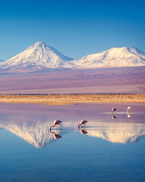 Atacama Desert Chile, National Geographic Photography, Atacama Desert, Colorful Mountains, Travel Destinations Bucket Lists, Cruise Destinations, Ushuaia, South America Travel, Travel Tours