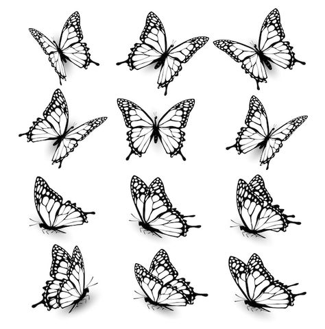 Butterfly Monarch Drawing, Seven Butterflies Tattoo, Butterflie Tattoo Design, Monarch Butterfly Wings Drawing, Butterfly In Flight Drawing, Flying Monarch Butterfly Tattoo, Swallowtail Butterfly Outline, Butterflies In Different Angles, Butterfly Drawing Different Angles