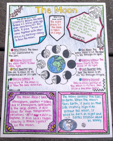 Visual Note Taking, Doodle, and Sketch Note Strategies to Incorporate into Your Classroom - Samson's Shoppe Note Strategies, Note Taking Strategies, Visual Note Taking, Sketch Note, Doodle Notes, 6th Grade Science, Nonfiction Reading, Science Notes, School Organization Notes