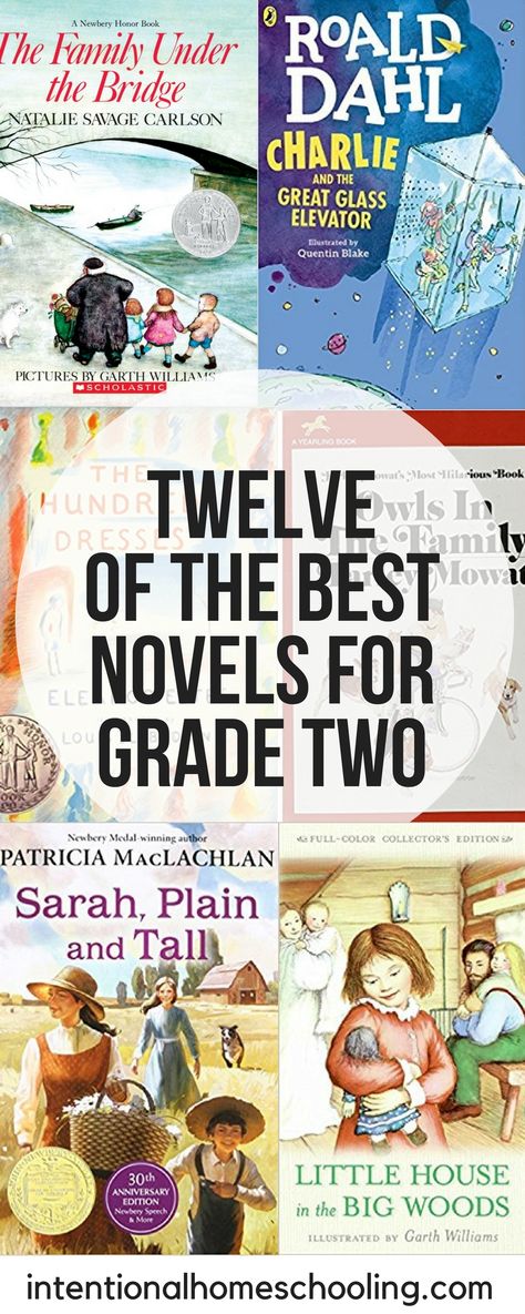 2nd Grade Chapter Books, Homeschool Library, Read Aloud Books, 2nd Grade Reading, After 4, Grade Book, Best Novels, Kids Books, Children's Literature