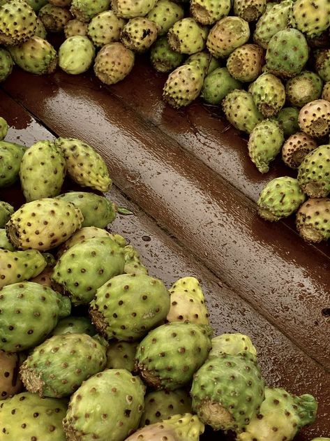 a bronze & green picture of moroccan prickly pear fruits found on one of moroccan streets. Fruits Aesthetic, Bronze Green, Pear Fruit, Green Pictures, Aesthetic Picture, Prickly Pear, Green Aesthetic, Aesthetic Pictures, Pear