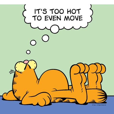 It's too hot to even move Warm Weer Humor, Summer Heat Humor, Attitude Cat, Weather Humor, Garfield Quotes, Hot Weather Humor, Hot Meme, Garfield Pictures, Weather Memes