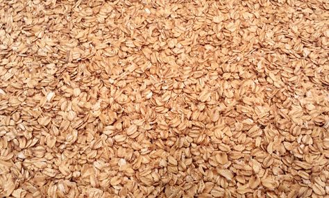 Toasting Oats Guide - Five Blades Brewing Roasted Oats, Toasted Oats, Homebrew Recipes, How To Roast, Oats Recipe, Home Brewing, Oats, Breakfast Recipes, Toast