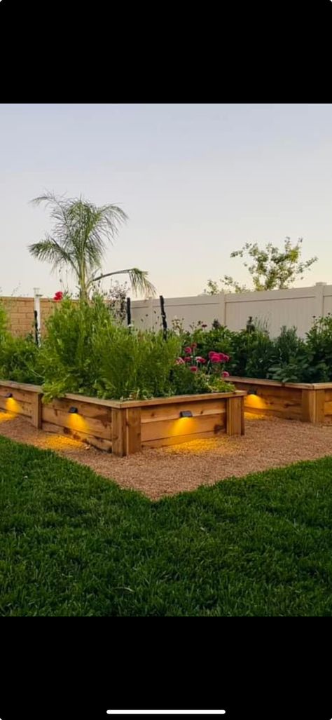 Garden Bed, Veggie Garden, Garden Beds, Bed