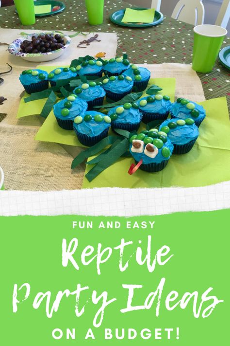 Fun and Easy Reptile Birthday Party Ideas on a Budget - Brooke Grangard Reptile Birthday Party Ideas, Birthday Party For Him, Reptile Birthday Party, Party Ideas On A Budget, Wild Kratts Birthday Party, Snake Birthday, Snake Party, Reptile Party, Rabbit Cages