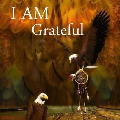 Grateful Native Quotes, Indian Spirituality, Native American Indian Tribes, American Indian Artwork, Indian Horses, Animal Spirit Guides, Indian Tribes, Native American Design, Native American History