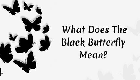 Black Butterfly Meaning Butterfly Meaning Spiritual, Black Butterfly Meaning, Butterfly Spiritual Meaning, Butterfly Spiritual, The Black Butterfly, Butterfly Meaning, Black Butterflies, Cultural Background, Symbols Of Freedom