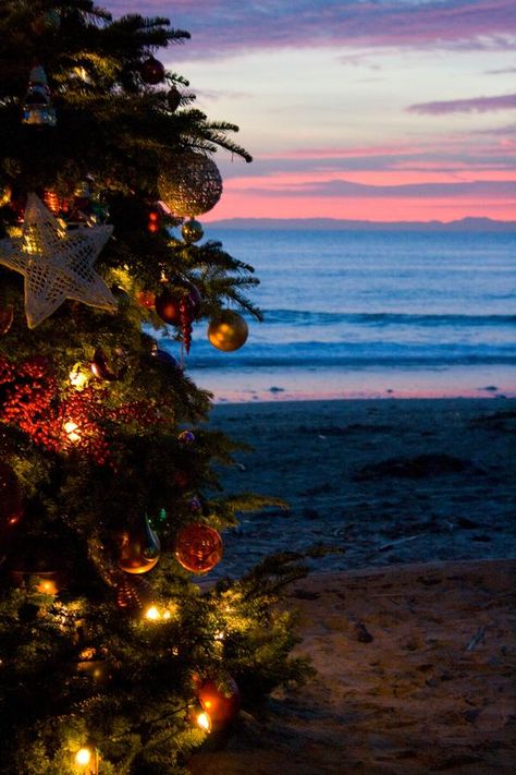 beachy christmas 3 by small-flaming-cjer on DeviantArt Serenity Aesthetic, Creative Tattoo Ideas, Christmas Lights Background, Christmas Lights Wallpaper, Lights Wallpaper, California Christmas, Hawaii Christmas, Christmas In Australia, Florida Christmas