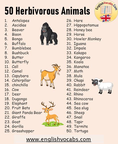 Animals Name List, Herbivorous Animals, Plants Names, Wedding Initials Logo, Animals Name, Giant Panda Bear, Basic English Sentences, Howler Monkey, Plant Names