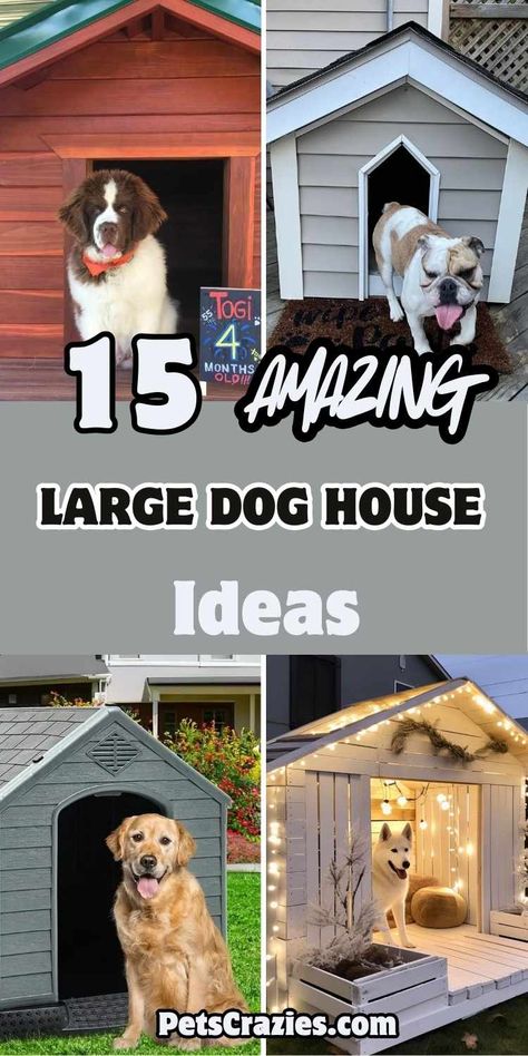 Image featuring four large dog house ideas with the text '15 Amazing Large Dog House Ideas.' Photos showcase various styles, including a classic wooden house, a modern gray house, and a cozy white house with string lights. The theme focuses on spacious, stylish, and comfortable dog houses for large breeds, offering both functionality and aesthetics for pet owners. Large Dog House Ideas, Extra Large Dog House Plans, Shed For Dogs Outdoor, Dog House Diy Plans Outdoor, Open Dog House, Big Dog House Diy, Fancy Dog Houses Outdoor, Palette Dog House, Custom Dog House Outdoor