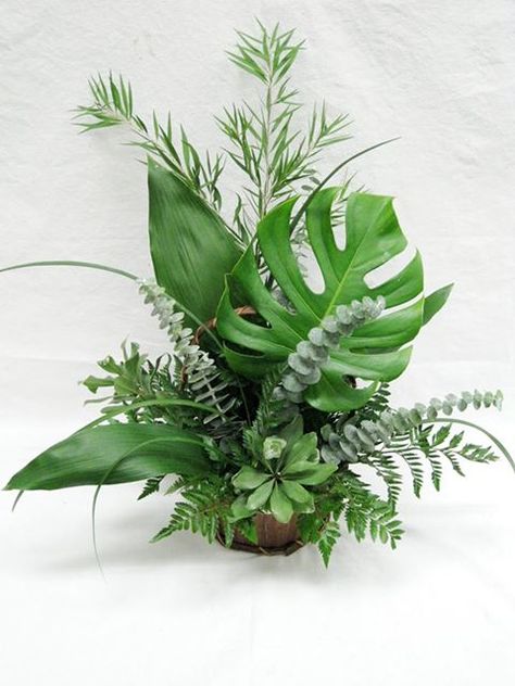 Simple is sometimes the best way to go. Tropical Greenery Arrangements, Foliage Arrangements Leaves, Tropical Foliage Arrangements, Arreglos Ikebana, Foliage Arrangements, Tropical Floral Arrangements, Tropical Flower Arrangements, Green Centerpieces, Altar Flowers