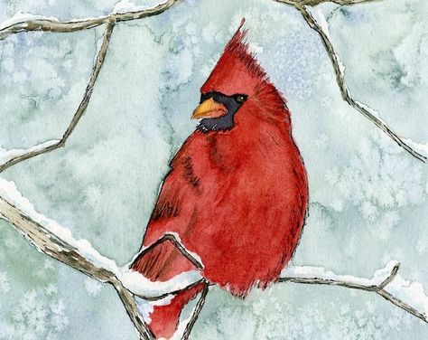 Hand Painted Christmas Cards Acrylic, Holiday Painting Ideas, Library Watercolor, Cardinal In Winter, Watercolor Cardinal, Hand Painted Christmas Cards, Cardinal Watercolor, Watercolor Christmas Cards Diy, Holiday Watercolor