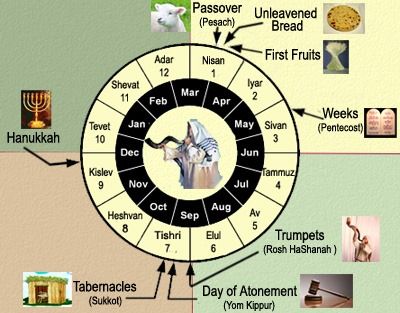 Feasts Circle Chart Yom Teruah, Jewish Feasts, Feasts Of The Lord, Jewish Calendar, Feast Of Tabernacles, Jewish Festivals, Biblical Hebrew, Learn Hebrew, Bible History