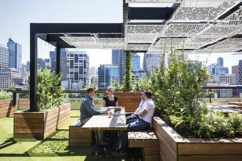 Australian Interior Design Awards Apartment Rooftop, Church Design Architecture, Roof Garden Design, Australian Interior, Brutalist Buildings, Rooftop Terrace Design, Rooftop Design, Australian Interior Design, Jacuzzi Outdoor