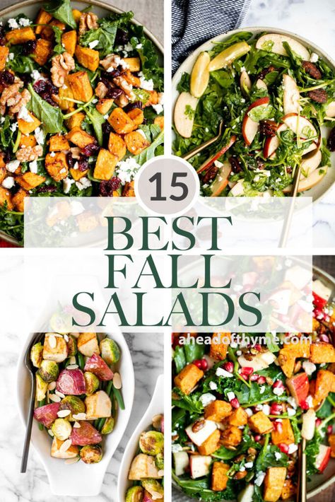 Fall Harvest Salad Butternut Squash, Fallsalad Recipes, Spring Mix Salad Recipes Simple, Fall Salads Recipes Autumn, Apple Salads, Butternut Squash Salad Recipes, Healthy Fall Salads, Fall Salad Recipes, Lemon Kale Salad