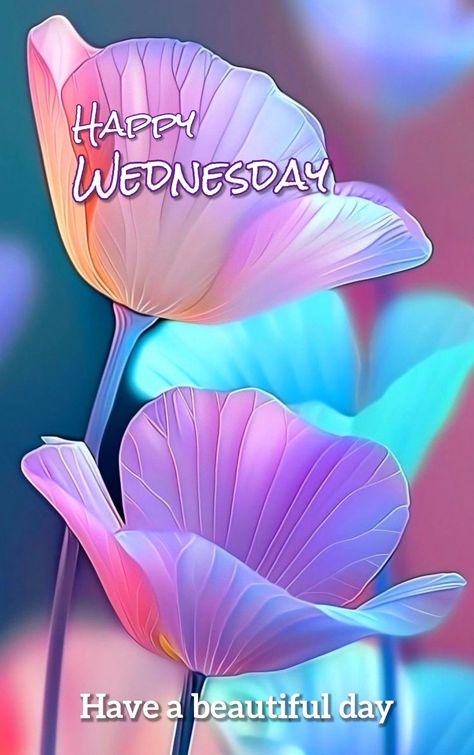 Wednesday Flowers, Wednesday Morning Images, Wednesday Gifts, Happy Teddy Day Images, Teddy Day Images, Happy Wednesday Images, Wednesday Morning Quotes, Morning Sayings, Happy Wednesday Quotes