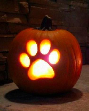 Pumpkin Ideas Creative, Pumpkin Carving For Kids, Pumpkin Carving Templates Easy, Pumpkin Carving Cute, Kids Pumpkin Carving, Halloween Pumpkin Ideas, Halloween Pumpkins Carvings Designs, Easy Pumpkin Carving Ideas, Cute Pumpkin Carving