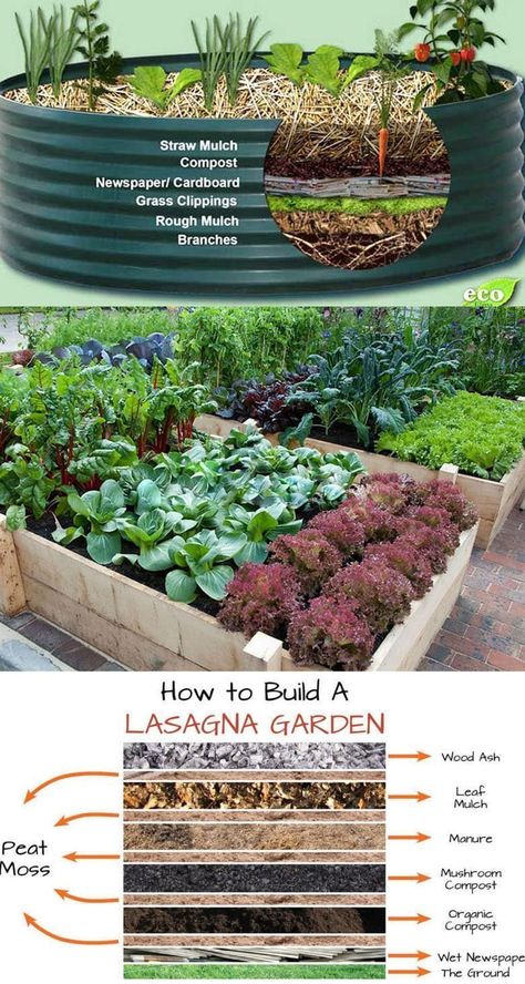 A piece of rainbow - Build garden soil with yard & kitchen waste, like a lasagna! 💚Best ideas: https://www.apieceofrainbow.com/raised-bed/ | Facebook Lasagna Garden, Raised Bed Gardens, Leaf Mulch, Box Planters, Lasagna Gardening, Gardening Backyard, Metal Garden Beds, Raised Bed Garden, Backyard Gardens