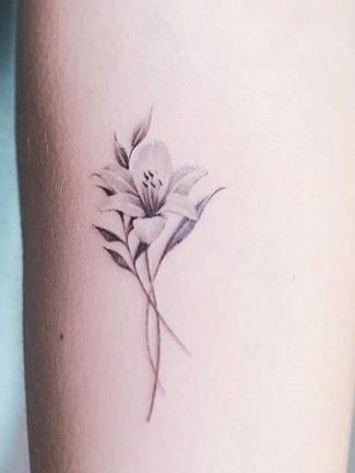 250+ Lily Tattoo Designs With Meanings (2020) Flower ideas & Symbols Jasmine Flower Tattoo, Amaryllis Tattoo, Lily Tattoo Designs, Lily Flower Tattoo, Lilly Flower Tattoo, Small Flower Tattoo, Jasmine Tattoo, Tiger Lily Tattoos, Water Lily Tattoos