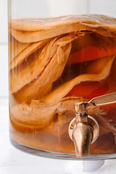 Kombucha Diy, Kombucha Aesthetic, Kombucha Vinegar, Brewing Kombucha, Kombucha Mother, Make Kombucha, Kombucha Scoby, Happy Gut, Production Design