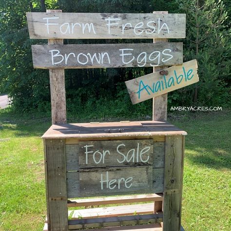 Farm Fresh Brown Eggs for Sale Stand Selling Eggs At Farmers Market, Chicken Egg Sale Stand, Chicken Egg Selling Stand, Fresh Eggs Sign Diy, Selling Eggs Roadside, Eggs For Sale Sign Ideas, Egg Sale Stand, Eggs For Sale Stand, Egg Stand Roadside Diy