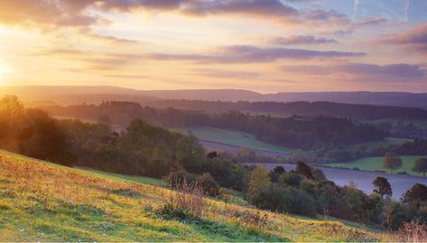 Draw Leaves, Natural Beauty Photography, Hills Landscape, Flowers Colourful, The Seven Sisters, Lounge Inspiration, Guildford Surrey, Surrey England, Modern Colours