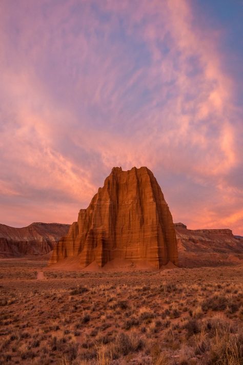 Torrey Utah, Desert Pictures, Free Wall Art, Sands Hotel, Capitol Reef, Free Printable Wall Art, Capitol Reef National Park, Arches National Park, Desert Landscaping