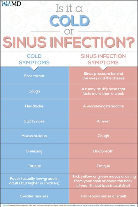 Cold vs sinus infection Swollen Sinuses, Sinus Infection Symptoms, Sinus Infection Remedies, Sinus Pressure, Stuffy Nose, Natural Cold Remedies, Sinus Infection, Cold Remedies, Medical Knowledge