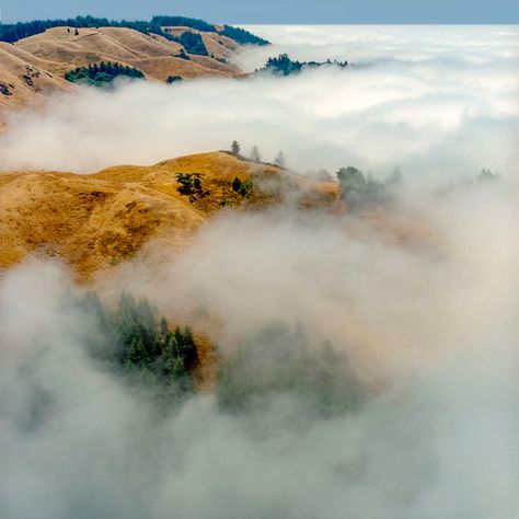 Marin County, California Mount Tamalpais, Marin County California, Stinson Beach, Aerial Photograph, California Landscape, Coastal Life, Marin County, Culture Travel, Golden Gate