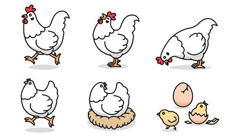 Cartoon Chicken Drawing, Black And White Chickens, Chicken Cartoon, Chicken Drawing, Family Vector, Cartoon Chicken, White Chicken, Cartoon Drawing, Cartoon Drawings