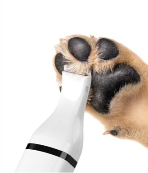 My long-haired dogs' paws need to be trimmed often- this thing is the best for delicate skin between pads!!! Dog Clippers, Small Pet, Dog Paws, Dog Hair, Pet Grooming, Pet Hair, Dog Grooming, Small Pets, Small Dogs