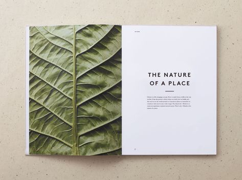 26 Minimalist Designs For Your Next Project | Design Studio Photo Branding, Nature Hotel, Design De Configuration, Layout Editorial, Mises En Page Design Graphique, 달력 디자인, Book And Magazine Design, Buch Design, 카드 디자인