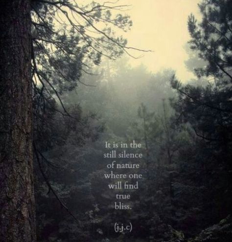 Silence in the woods.  There is nothing better !! Citation Nature, Quotes Nature, Hiking Quotes, Story Quotes, Quote Board, Meditation Space, Adventure Quotes, Trendy Quotes, Nature Quotes