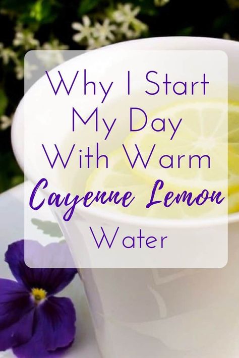 Warm water lemon and cayenne Fruit Shake, Lemon Water Recipe, Lemon Water Detox, Water Detox, Water Lemon, Full Body Detox, Warm Lemon Water, Diy Organizing, Natural Detox Drinks