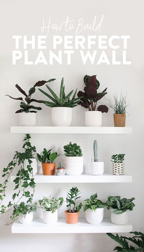 . Living Wall Indoor, Indoor Plant Display, Indoor Plant Shelves, Plant Display Ideas, Indoor Plant Wall, Diy Plant Hanger, Bedroom Plants, Plant Decor Indoor, Interior Plants