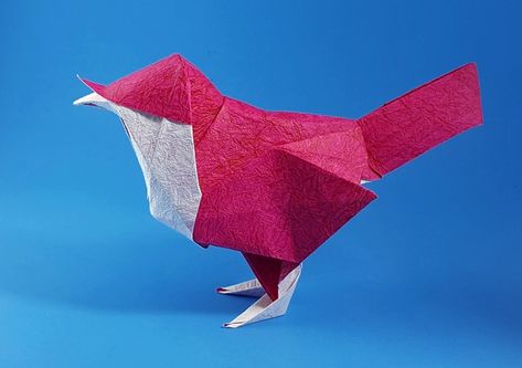 Origami Robin by David Brill Folded from a square of Crinkle hot pink scrapbooking paper by Gilad Aharoni on giladorigami.com Origami Book, Origami Birds, Pink Scrapbook, Origami Bird, Book Origami, Paper Animals, Origami Crafts, Scrapbooking Paper, Book Show