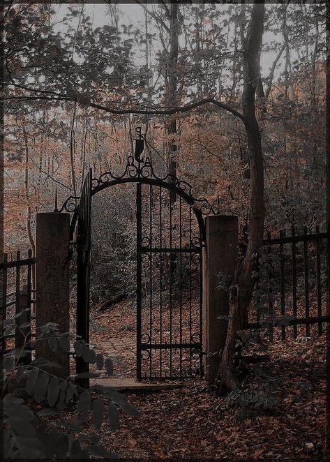 Dark Academia Woods, Abandoned Aesthetic Dark, Old Manor Aesthetic, Dark Acedamia House, Garden Dark Academia, Victorian Garden Aesthetic, Witch Mansion, Old Mansion Aesthetic, Dark Academia Mansion