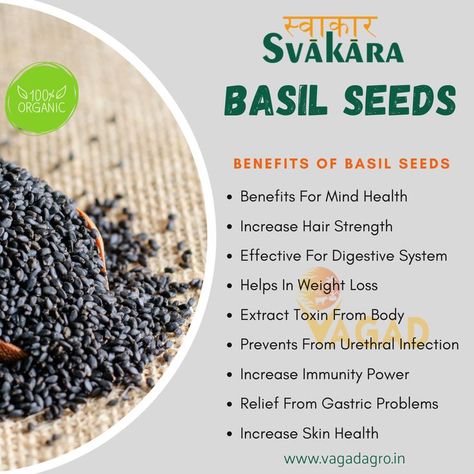 Basil Seeds Benefits, Health Benefits Of Basil, Sabja Seeds, Benefits Of Basil, Basil Health Benefits, Gastric Problem, Indian Drinks, Seeds Benefits, Basil Seeds