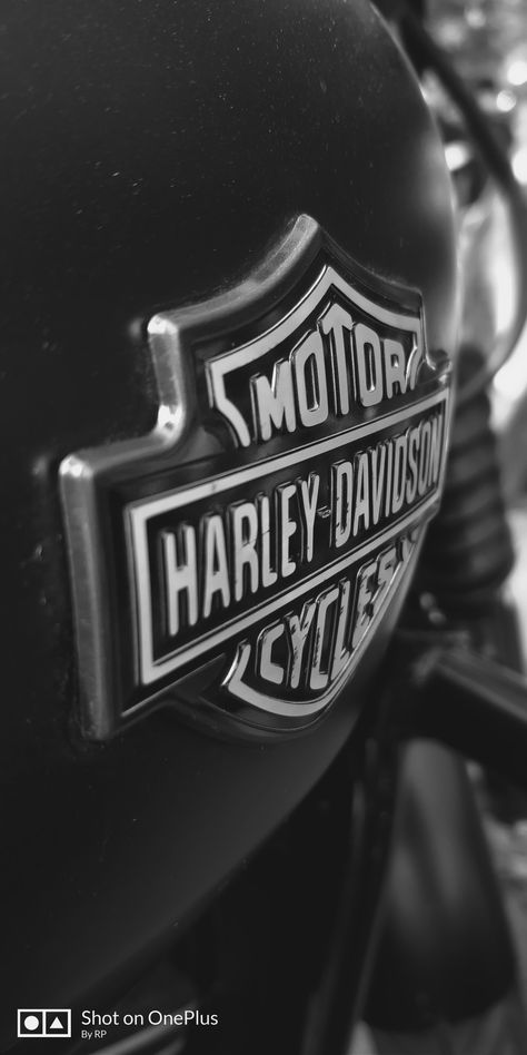 Harley Davidson Aesthetic, Harley Aesthetic, Harley Davidson Street 750, Iphone Collage, Harley Davidson Decals, Harley Davidson Shop, Marketing Banner, Street 750, Rockabilly Cars