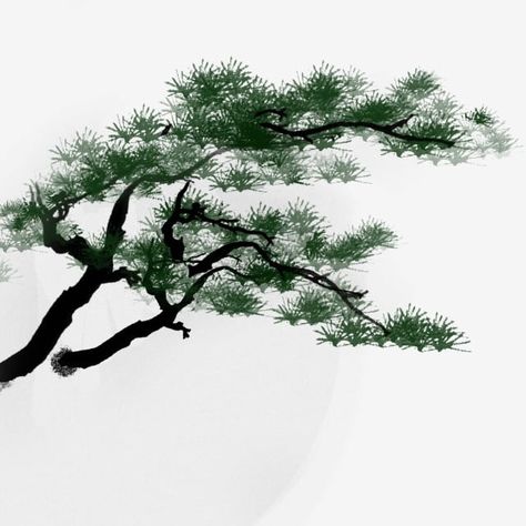 meticulous painting,meticulous pine branch,beautiful branch,fresh branches,big tree,qingsong,hand drawn illustration,hand painted,china,traditional chinese painting,classical,hand clipart,chinese clipart,china clipart Chinese Tree Art, Chinese Tree Drawing, Chinese Brush Painting Flowers, Pine Tree Illustration, Chinese Painting Traditional, Chinese Clipart, Liz White, Chinese Tree, Chinese Traditional Art